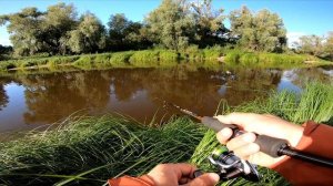 ПРИПЯТЬ 2021 | Рыбалка на реке и в старицах Припяти