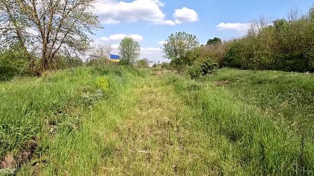 За Москвичом в Воронежскую область. Снова Кипарис! смотреть онлайн