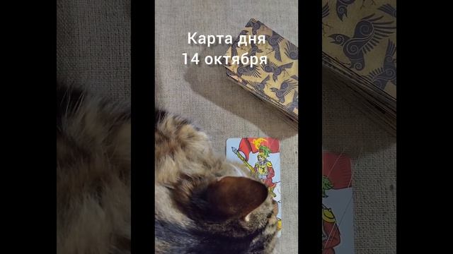 Карта дня 14 октября смотреть онлайн