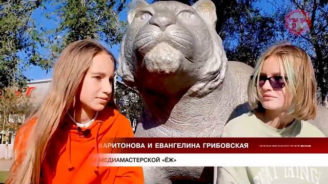 Уссурийские школьники стали участниками фестиваля молодежных СМИ "Пробный шар" в Лучегорске смотреть онлайн