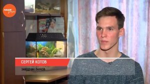 Наше УТРО на ОТВ – пушистое утро о том как отличить самца от самки паука птицееда