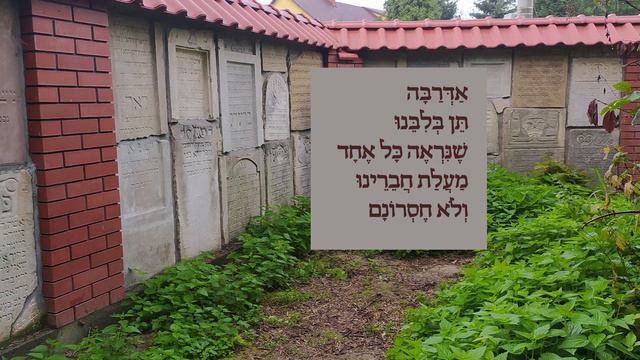 דוד בארי - אדרבה смотреть онлайн