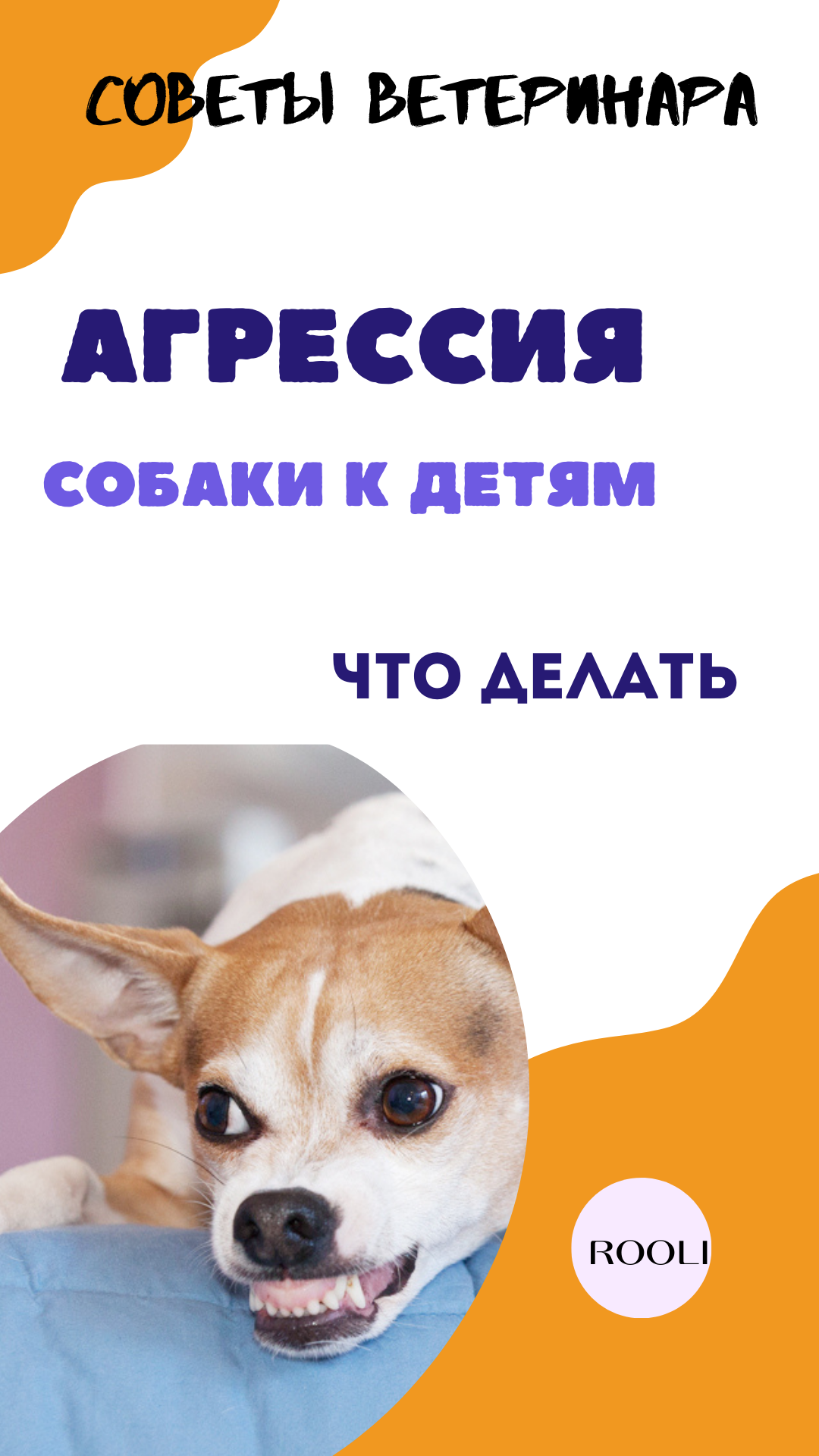Агрессивная собака по отношению к детям. Это опасное поведение, которое требует серьезного внимания. смотреть онлайн