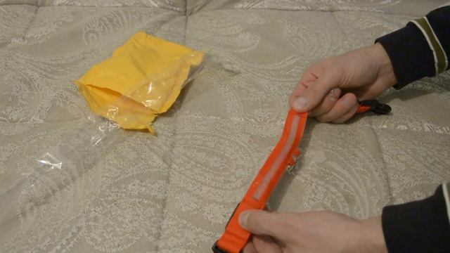 Светящийся (светодиодный) ошейник для собаки смотреть онлайн