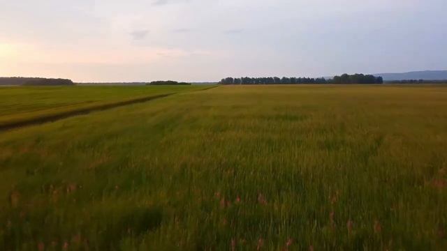 ЛЕЙЛА ЦАМАЕВА И"ЧЕЧЕНСКАЯ СНОХА".1 СЕНТЯБРЯ.ДВА МИРА- ЖЕНЩИНЫ НА ПРОТИВОПОЛОЖНЫХ ПОЛЮСАХ смотреть онлайн