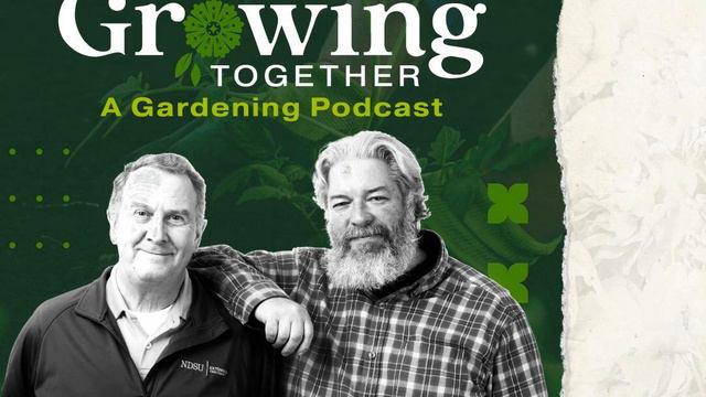 Get This Year's Garden Up And Running By Starting Your Seeds Indoors