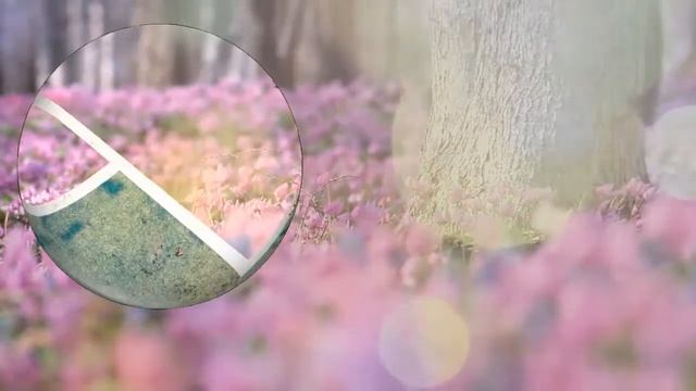 Футаж. Розовое лето. Птицы и цикады. Background. Pink summer Birds and cicadas смотреть онлайн