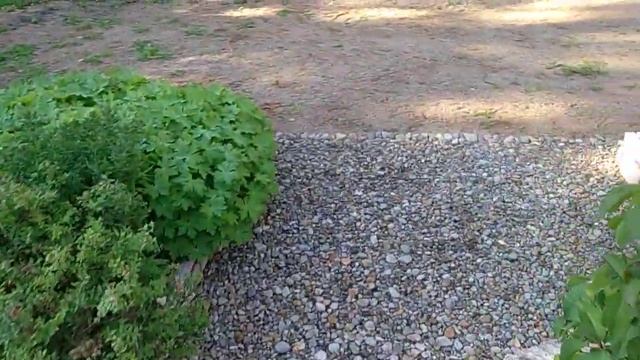 Моя дача смотреть онлайн