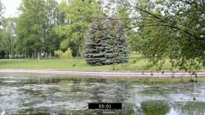 БЫЛ ШОКИРОВАН увидев чем занимались НАШИ ЖЕНЫ на девичнике [рассказ] Истории любви из жизни