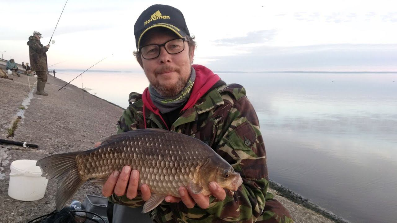 Толстобокие КАРАСИ на фидер. Средний вес- КИЛОГРАММ смотреть онлайн