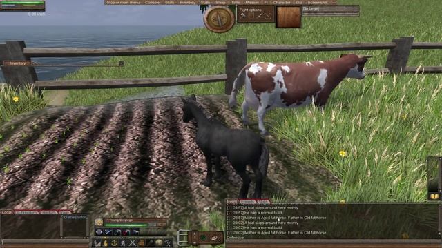 Wurm Unlimited - Tutorial - Episode 19, Part 2 - Animal Husbandry Continued... смотреть онлайн