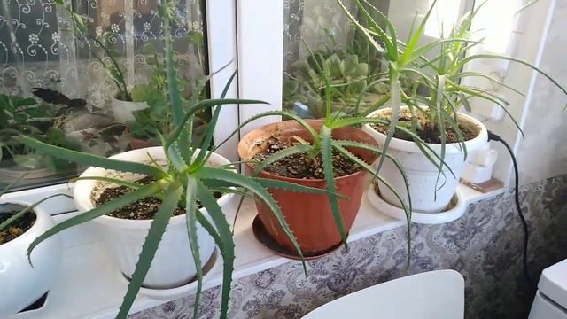 ОБЫЧНЫЙ ДЕНЬ/ ВИДЕО ЗА 15 ФЕВРАЛЯ смотреть онлайн