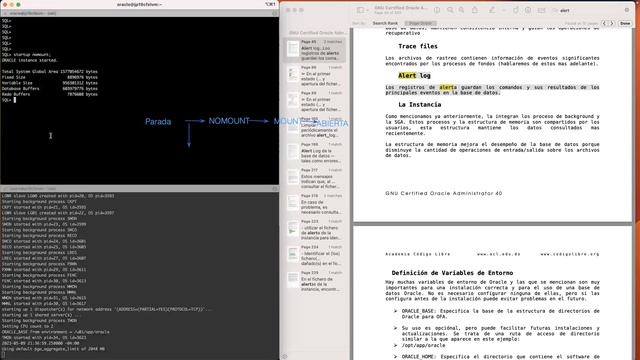 Curso DBA 19c - Clase SQL*Plus - Inicio y apagado de Oracle - SPFILE - INIT.ORA - 04 -05-2023 смотреть онлайн