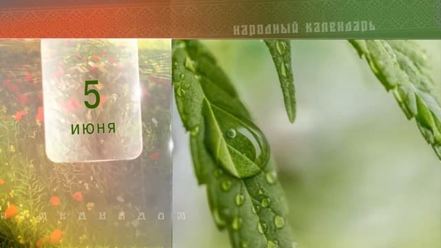 5 Июня - Ежедневный Народный Календарь смотреть онлайн