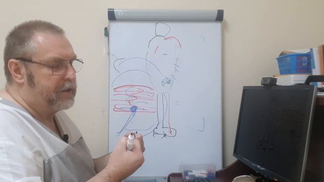 Халлюс Вальгус (Hallux valgus). Настоящая причина данной проблемы. смотреть онлайн