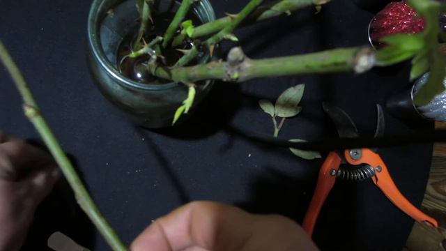 как из шиповника сделать розу смотреть онлайн