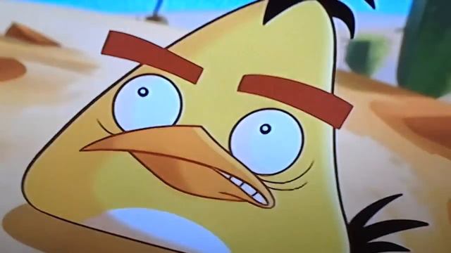 The angry bird race! смотреть онлайн