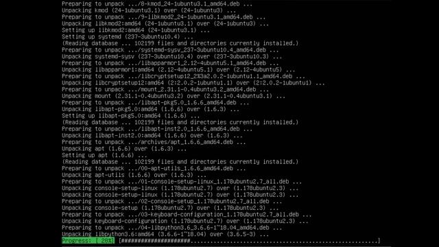 Learn Ubuntu Server 18.04 - Base Install смотреть онлайн