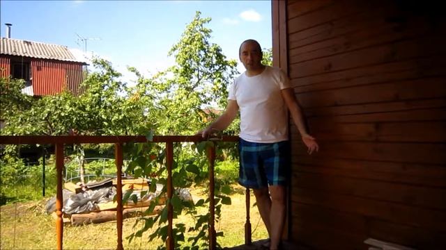 Покрасить дом из бруса. "МАСТЕР НА ВСЕ РУКИ" 8-911-927-37-33 СПб смотреть онлайн
