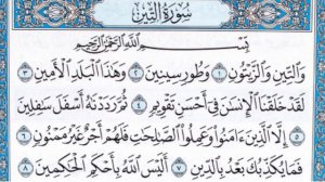 Чтение суры Ат-Тин (95) Айман Сувейд