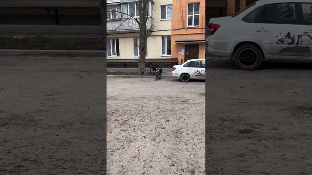 Поворотники на электросамокат смотреть онлайн