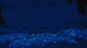 Как ёжик и медвежонок встречали Новый Год