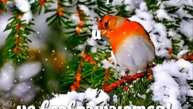 Поздравляю всех всех всех с наступающим новым годом! смотреть онлайн