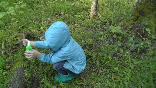 Грибной влог / набрали много лисичек и кулачков / за грибами в июле смотреть онлайн