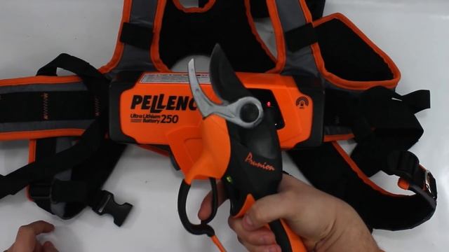 Recensione: Forbici Elettroniche Pellenc Prunion 250 смотреть онлайн