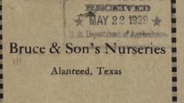 WW2 Veteran's Reaction To Son Fixing His 1946 Cadillac To Drive смотреть онлайн