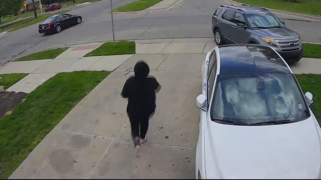 Moped driver crushed by Michigan school bus caught on camera смотреть онлайн