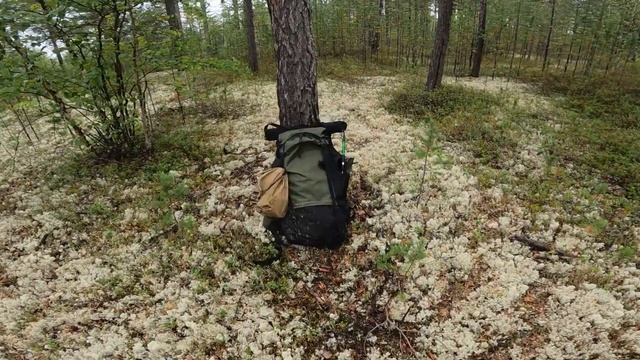 Строительство чума в лесу. Часть 2 смотреть онлайн