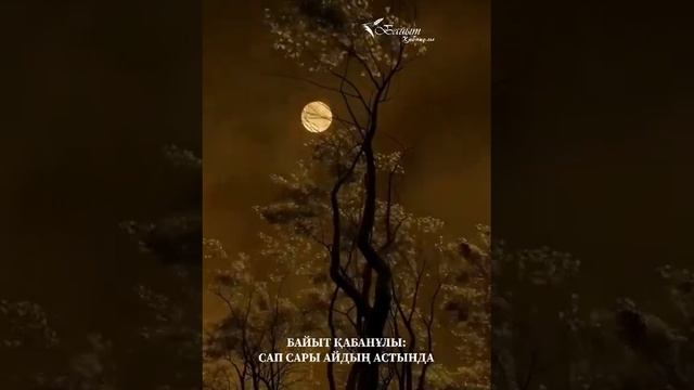 БАЙЫТ ҚАБАНҰЛЫ: САП САРЫ АЙДЫҢ АСТЫНДА смотреть онлайн