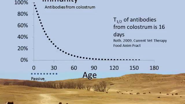 Dr. David R. Smith - What We Know (and Don't Know) About Pneumonia In Beef Calves Prior To Weaning
