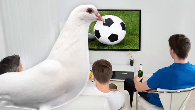 Hall Of Famer Randy Johnson Kills Bird In Game смотреть онлайн