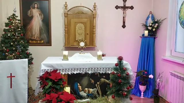 Понедельник (03.01.2022). Венчик Божьему Милосердию. Святой Розарий смотреть онлайн