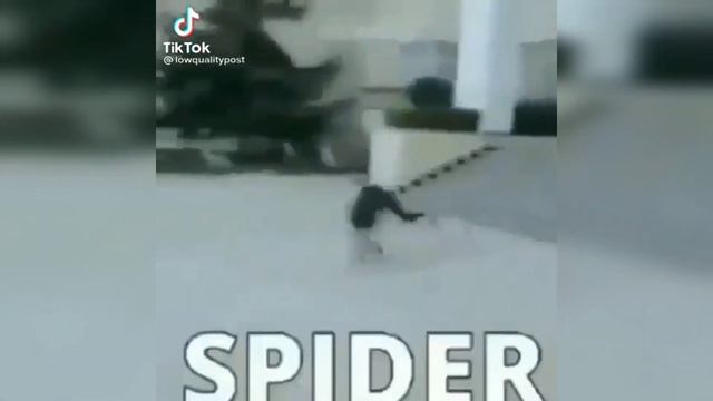 Рандомные мемные клипы из тиктока. Часть 32 смотреть онлайн