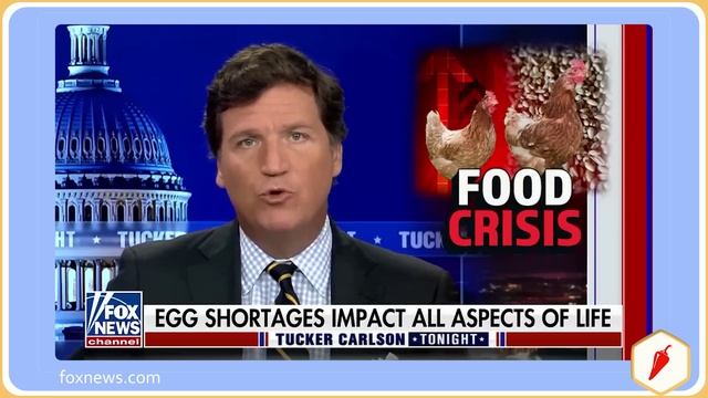 в Кольце друзей выпуск 86 смотреть онлайн