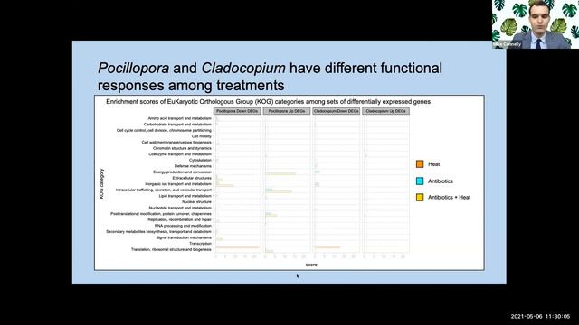 Ph.D. Defense Recording смотреть онлайн