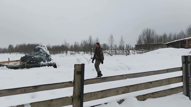 ПРОГУЛКА ПО НАШЕМУ ЗООПАРКУ смотреть онлайн