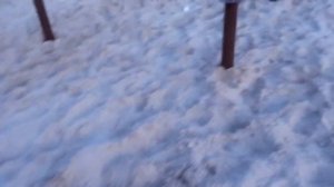 Геошурупы и винтовые сваи: строим фундамент за 1 день.