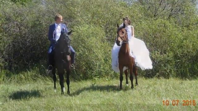 По следам Золотой Орды смотреть онлайн