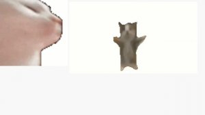 (ПеСнЯ!!!) Шни шна шна шнапи