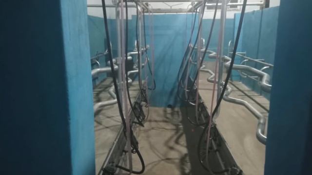 доильный зал 2х4 Упрощенный смотреть онлайн