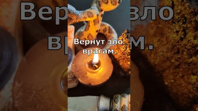 Заговор от врагов. Вернуть зло врагам. Наказать врагов. Заговор онлайн. #заговор #обряд #ритуал смотреть онлайн
