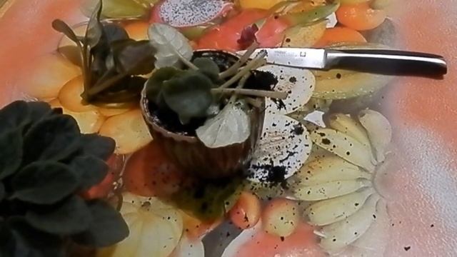 ФИАЛКИ НЕ РАСТУТ И НЕ ЦВЕТУТ (РЕАНИМАЦИЯ ФИАЛОК) смотреть онлайн