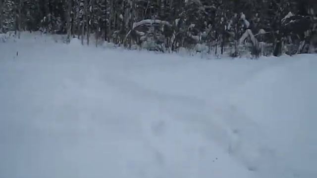 Пухляк 2010 смотреть онлайн