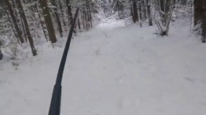 Охота с лайками /Проводы 2021 года/