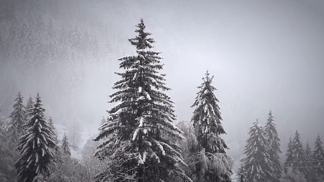 1 HOUR Deep Sleep Calming L Positive Vibes Meditation Music L Ambient Music