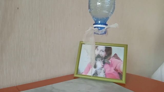Эксперименты от Slivki Show смотреть онлайн
